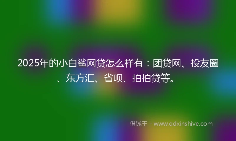 2025年的小白鲨网贷怎么样有：团贷网、投友圈、东方汇、省呗、拍拍贷等。