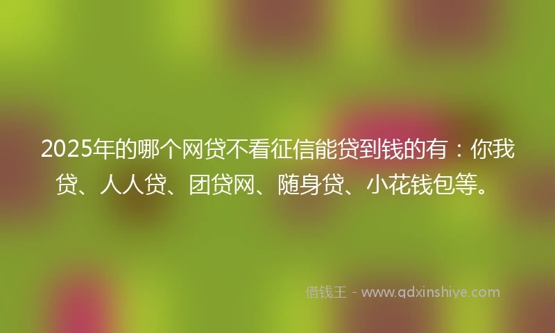 2025年的哪个网贷不看征信能贷到钱的有：你我贷、人人贷、团贷网、随身贷、小花钱包等。