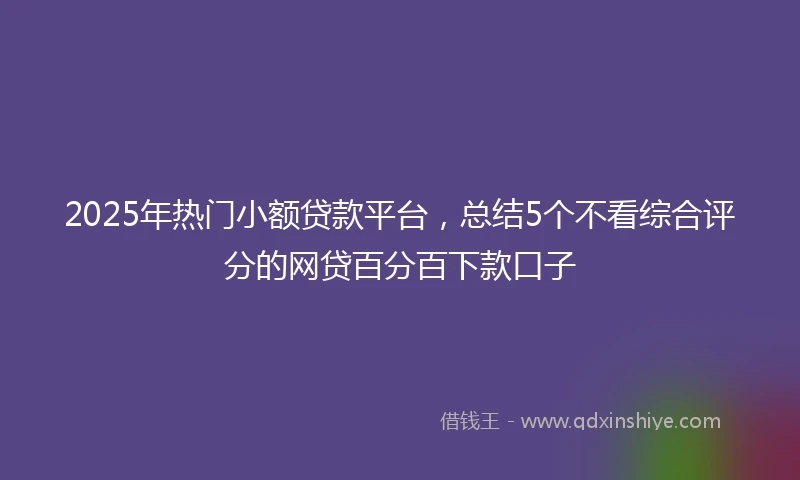 2025年热门小额贷款平台，总结5个不看综合评分的网贷百分百下款口子