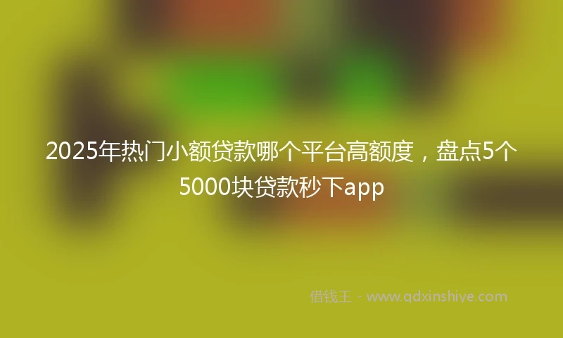 2025年热门小额贷款哪个平台高额度，盘点5个5000块贷款秒下app