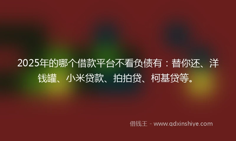 2025年的哪个借款平台不看负债有：替你还、洋钱罐、小米贷款、拍拍贷、柯基贷等。