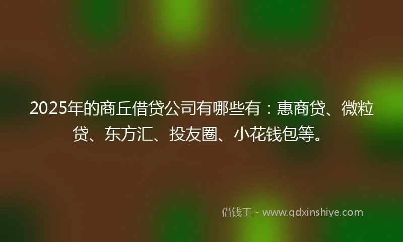 2025年的商丘借贷公司有哪些有：惠商贷、微粒贷、东方汇、投友圈、小花钱包等。
