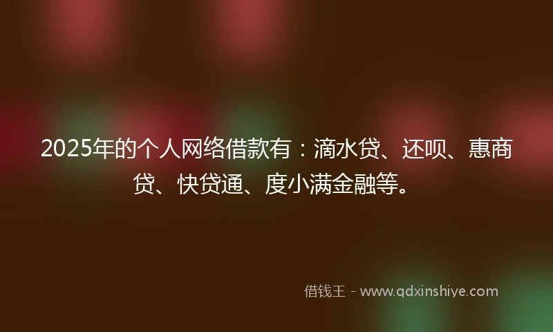 2025年的个人网络借款有：滴水贷、还呗、惠商贷、快贷通、度小满金融等。