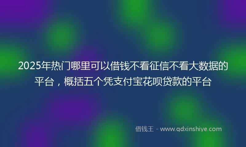 2025年热门哪里可以借钱不看征信不看大数据的平台，概括五个凭支付宝花呗贷款的平台