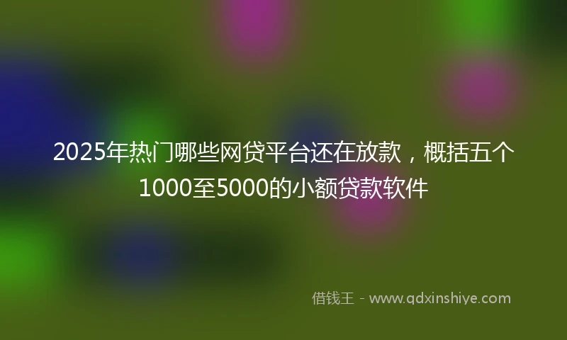 2025年热门哪些网贷平台还在放款，概括五个1000至5000的小额贷款软件