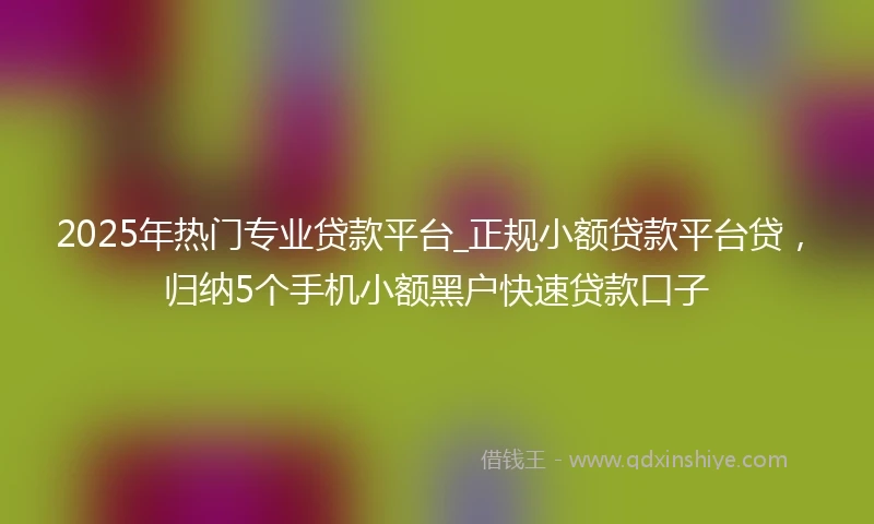 2025年热门专业贷款平台_正规小额贷款平台贷，归纳5个手机小额黑户快速贷款口子