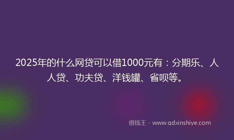 2025年的什么网贷可以借1000元有：分期乐、人人贷、功夫贷、洋钱罐、省呗等。