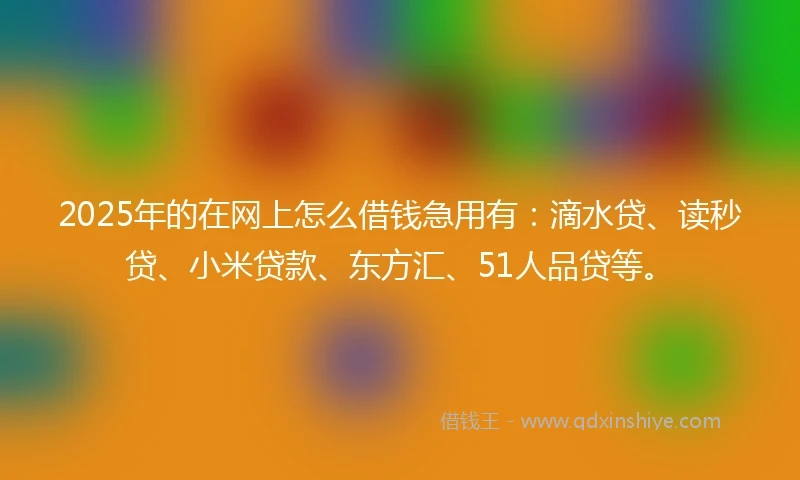 2025年的在网上怎么借钱急用有：滴水贷、读秒贷、小米贷款、东方汇、51人品贷等。