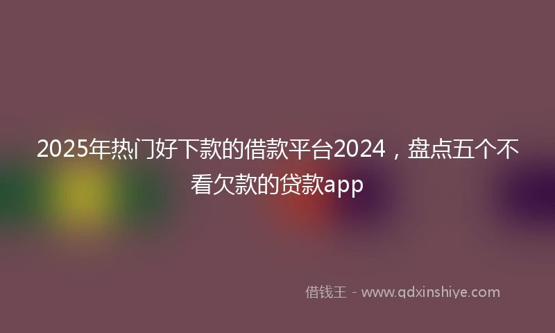 2025年热门好下款的借款平台2024，盘点五个不看欠款的贷款app
