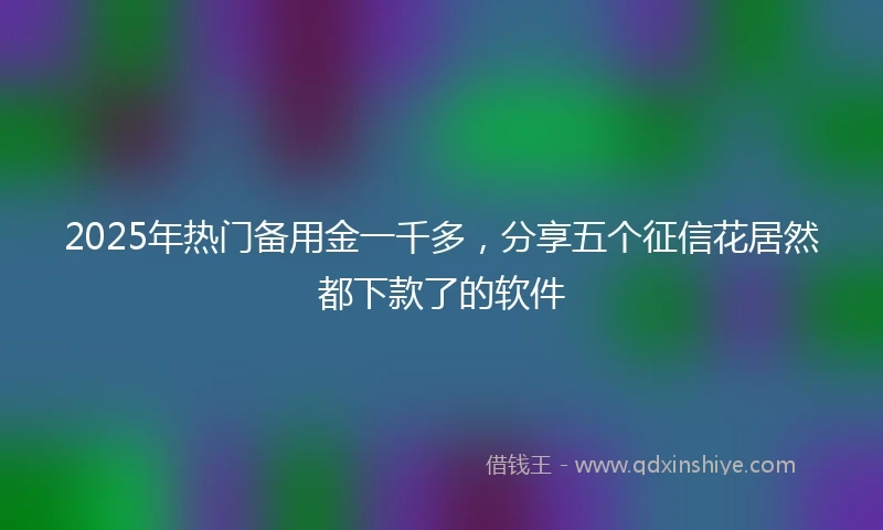 2025年热门备用金一千多，分享五个征信花居然都下款了的软件