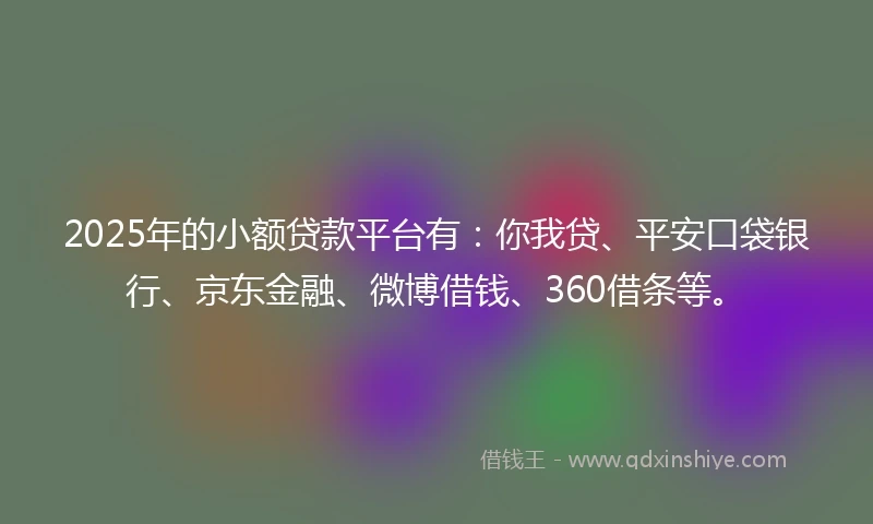 2025年的小额贷款平台有：你我贷、平安口袋银行、京东金融、微博借钱、360借条等。