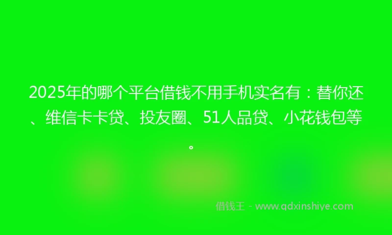 2025年的哪个平台借钱不用手机实名有：替你还、维信卡卡贷、投友圈、51人品贷、小花钱包等。