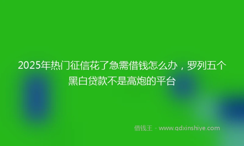 2025年热门征信花了急需借钱怎么办，罗列五个黑白贷款不是高炮的平台