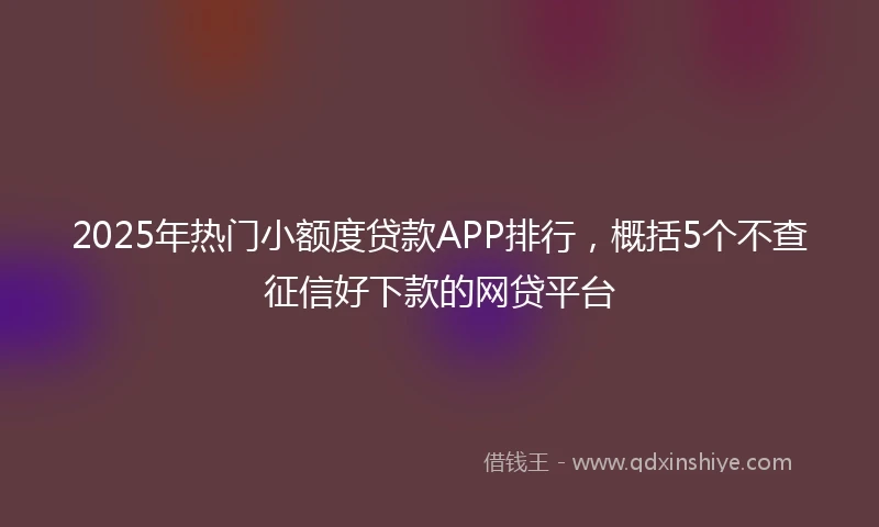 2025年热门小额度贷款APP排行，概括5个不查征信好下款的网贷平台