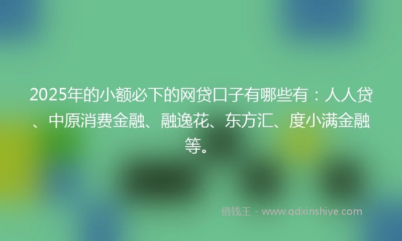 2025年的小额必下的网贷口子有哪些有：人人贷、中原消费金融、融逸花、东方汇、度小满金融等。