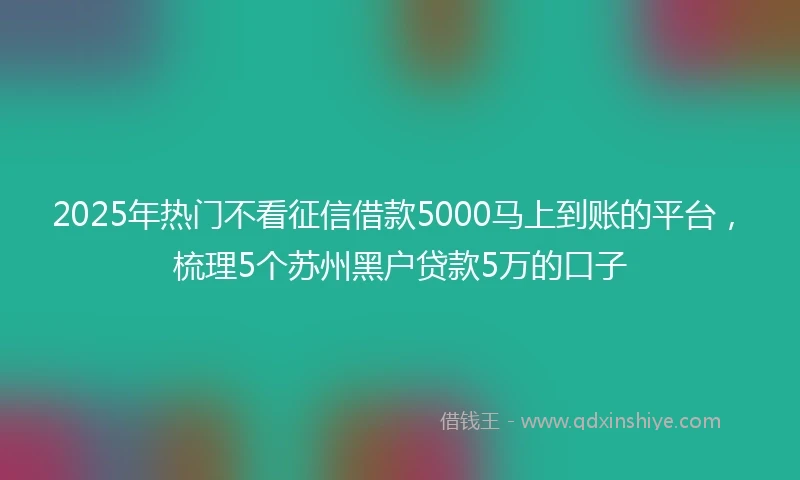 2025年热门不看征信借款5000马上到账的平台，梳理5个苏州黑户贷款5万的口子