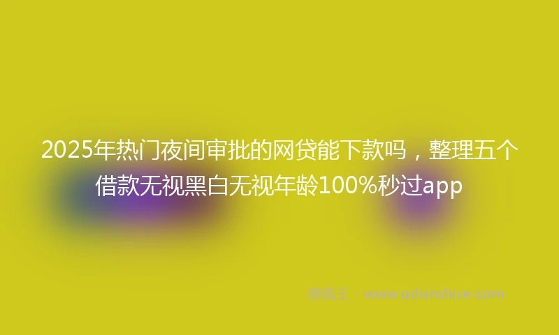 2025年热门夜间审批的网贷能下款吗，整理五个借款无视黑白无视年龄100%秒过app