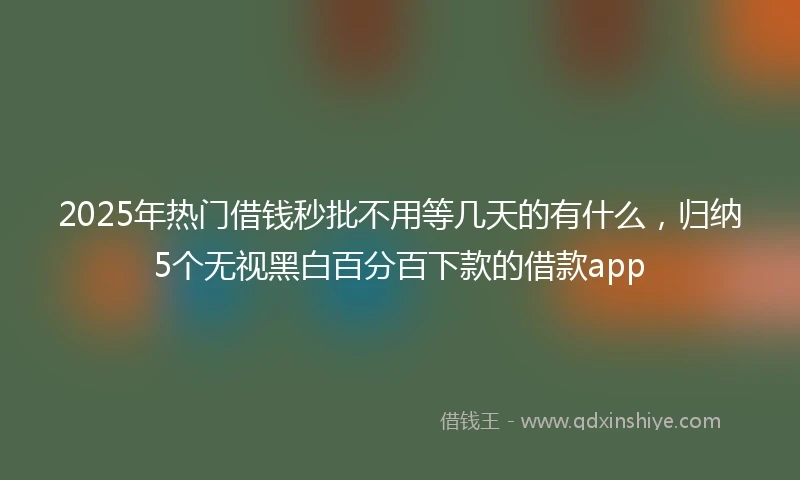 2025年热门借钱秒批不用等几天的有什么，归纳5个无视黑白百分百下款的借款app
