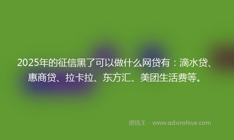 2025年的征信黑了可以做什么网贷有：滴水贷、惠商贷、拉卡拉、东方汇、美团生活费等。