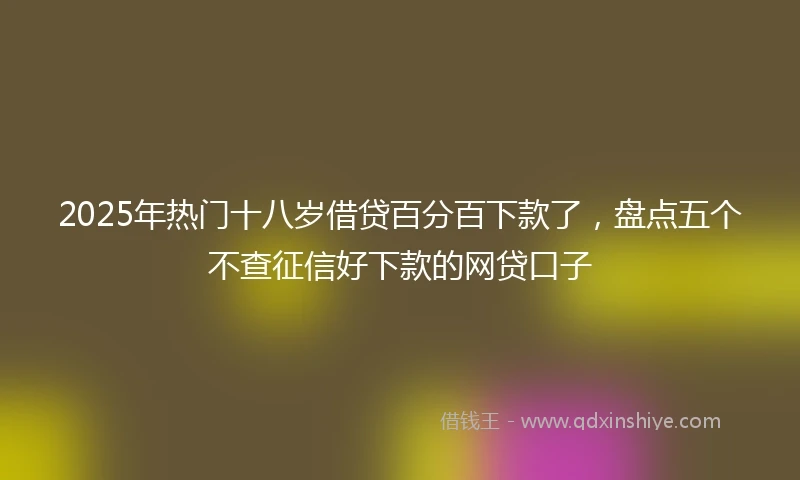 2025年热门十八岁借贷百分百下款了，盘点五个不查征信好下款的网贷口子