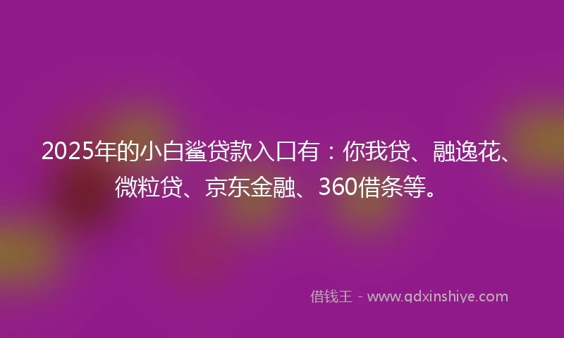 2025年的小白鲨贷款入口有：你我贷、融逸花、微粒贷、京东金融、360借条等。