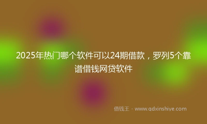 2025年热门哪个软件可以24期借款，罗列5个靠谱借钱网贷软件