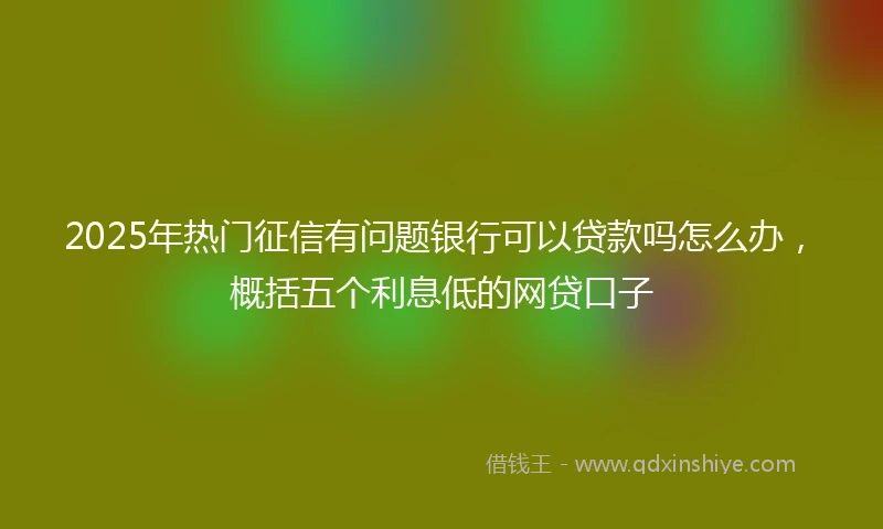 2025年热门征信有问题银行可以贷款吗怎么办，概括五个利息低的网贷口子