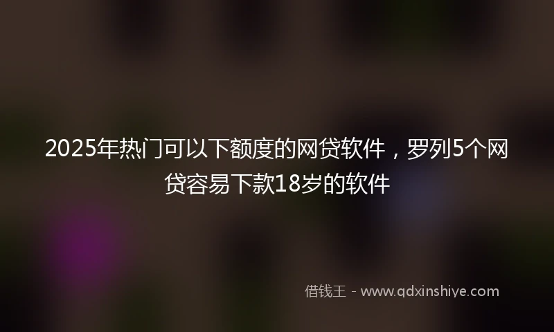 2025年热门可以下额度的网贷软件，罗列5个网贷容易下款18岁的软件