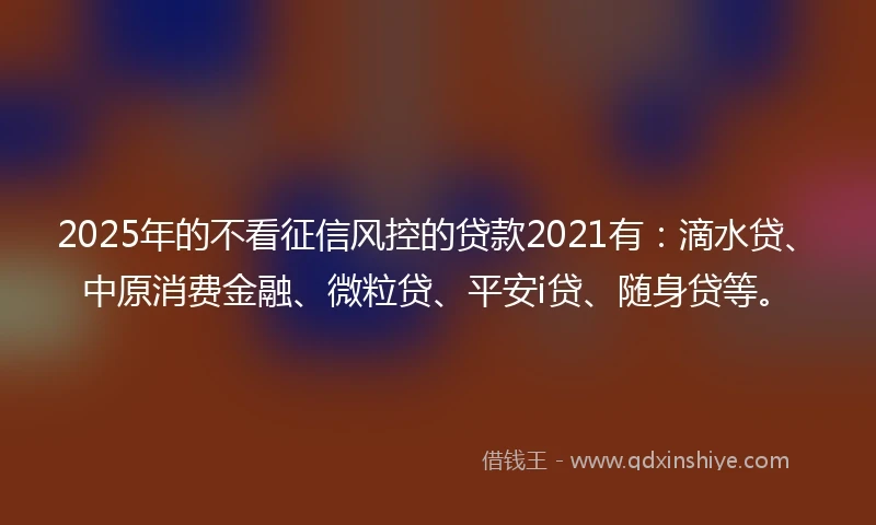 2025年的不看征信风控的贷款2021有：滴水贷、中原消费金融、微粒贷、平安i贷、随身贷等。