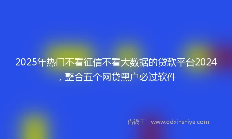 2025年热门不看征信不看大数据的贷款平台2024，整合五个网贷黑户必过软件