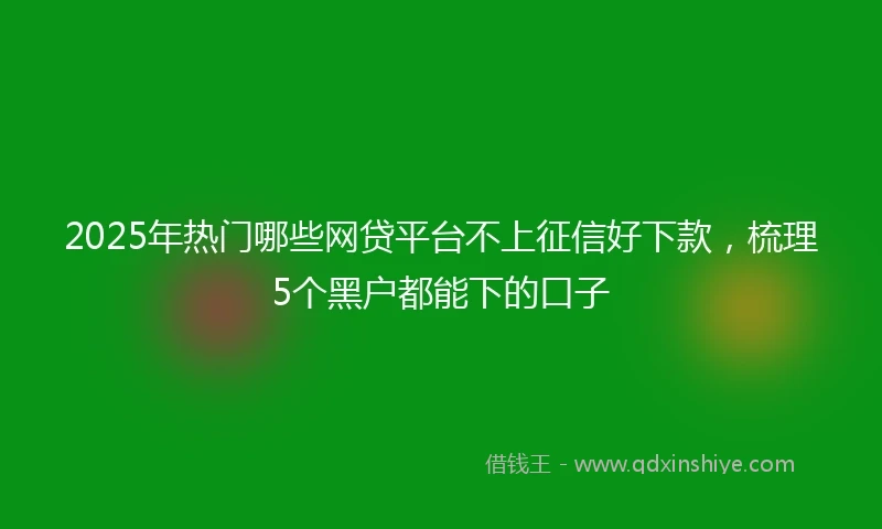2025年热门哪些网贷平台不上征信好下款，梳理5个黑户都能下的口子