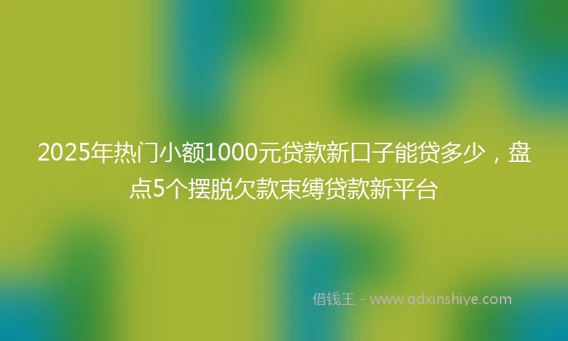 2025年热门小额1000元贷款新口子能贷多少，盘点5个摆脱欠款束缚贷款新平台