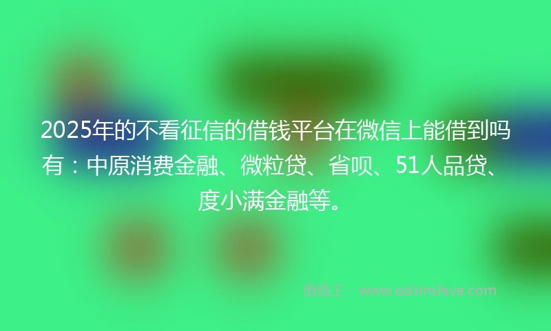 2025年的不看征信的借钱平台在微信上能借到吗有：中原消费金融、微粒贷、省呗、51人品贷、度小满金融等。