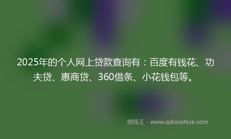 2025年的个人网上贷款查询有：百度有钱花、功夫贷、惠商贷、360借条、小花钱包等。