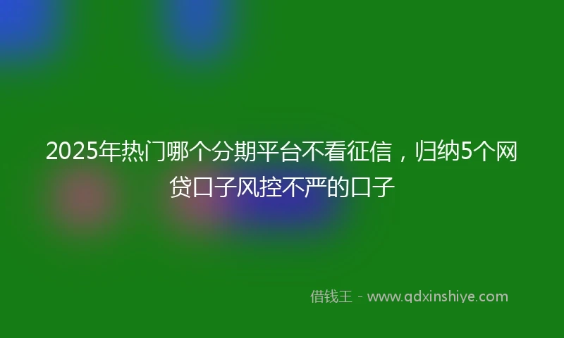 2025年热门哪个分期平台不看征信，归纳5个网贷口子风控不严的口子