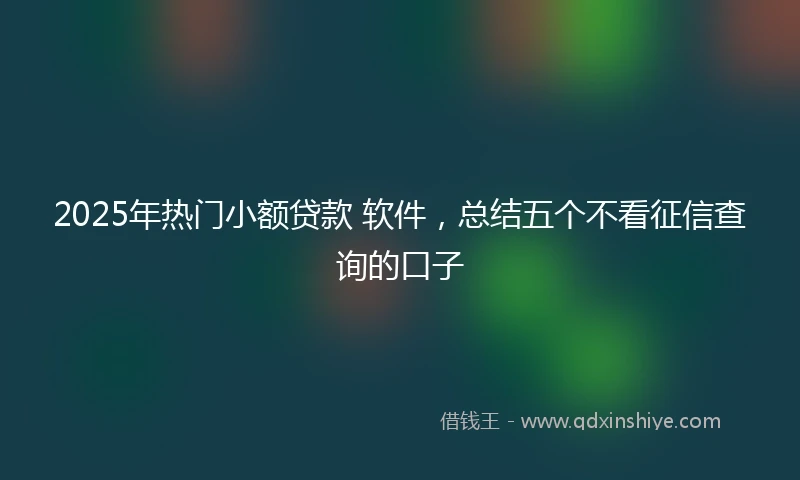 2025年热门小额贷款 软件，总结五个不看征信查询的口子