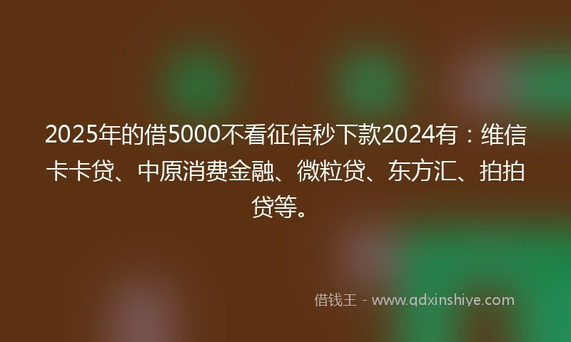 2025年的借5000不看征信秒下款2024有：维信卡卡贷、中原消费金融、微粒贷、东方汇、拍拍贷等。