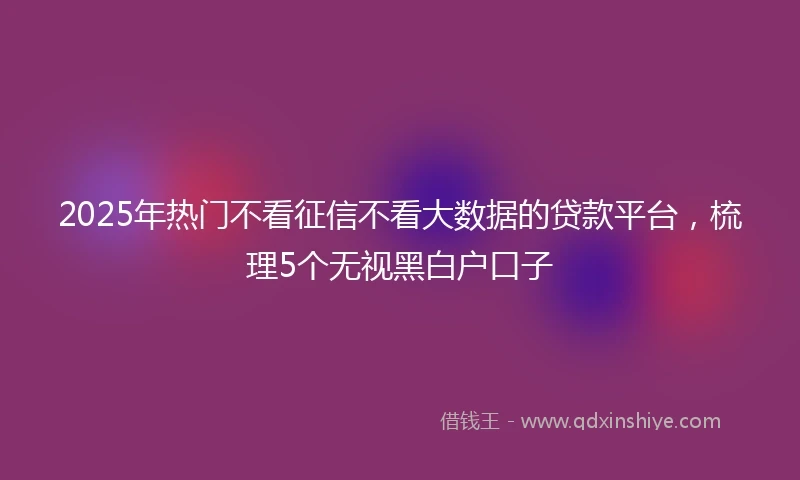 2025年热门不看征信不看大数据的贷款平台，梳理5个无视黑白户口子