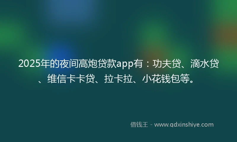 2025年的夜间高炮贷款app有：功夫贷、滴水贷、维信卡卡贷、拉卡拉、小花钱包等。