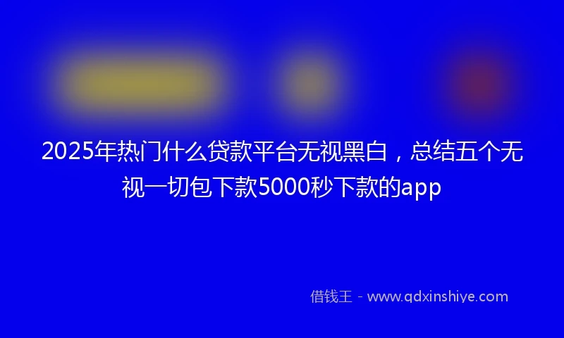 2025年热门什么贷款平台无视黑白，总结五个无视一切包下款5000秒下款的app