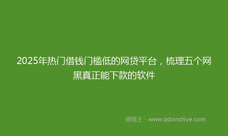 2025年热门借钱门槛低的网贷平台，梳理五个网黑真正能下款的软件