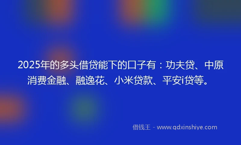 2025年的多头借贷能下的口子有：功夫贷、中原消费金融、融逸花、小米贷款、平安i贷等。