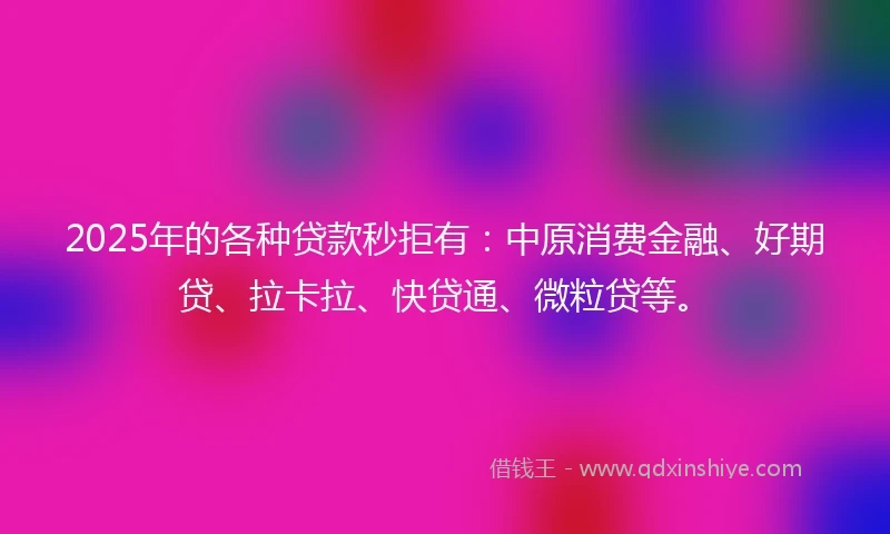 2025年的各种贷款秒拒有：中原消费金融、好期贷、拉卡拉、快贷通、微粒贷等。