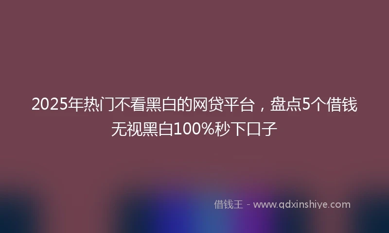 2025年热门不看黑白的网贷平台，盘点5个借钱无视黑白100%秒下口子