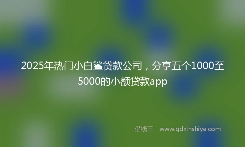 2025年热门小白鲨贷款公司，分享五个1000至5000的小额贷款app