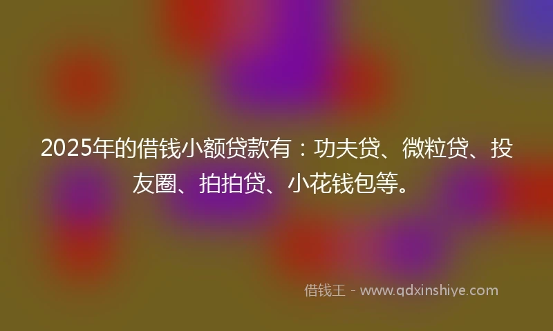 2025年的借钱小额贷款有：功夫贷、微粒贷、投友圈、拍拍贷、小花钱包等。