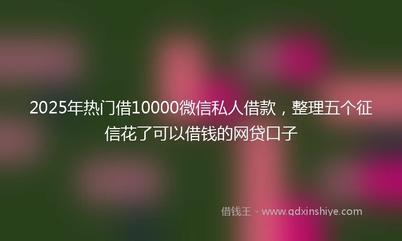2025年热门借10000微信私人借款，整理五个征信花了可以借钱的网贷口子