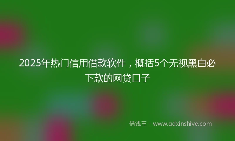 2025年热门信用借款软件，概括5个无视黑白必下款的网贷口子