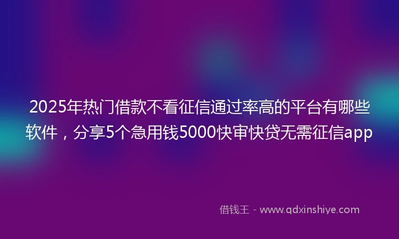 2025年热门借款不看征信通过率高的平台有哪些软件，分享5个急用钱5000快审快贷无需征信app