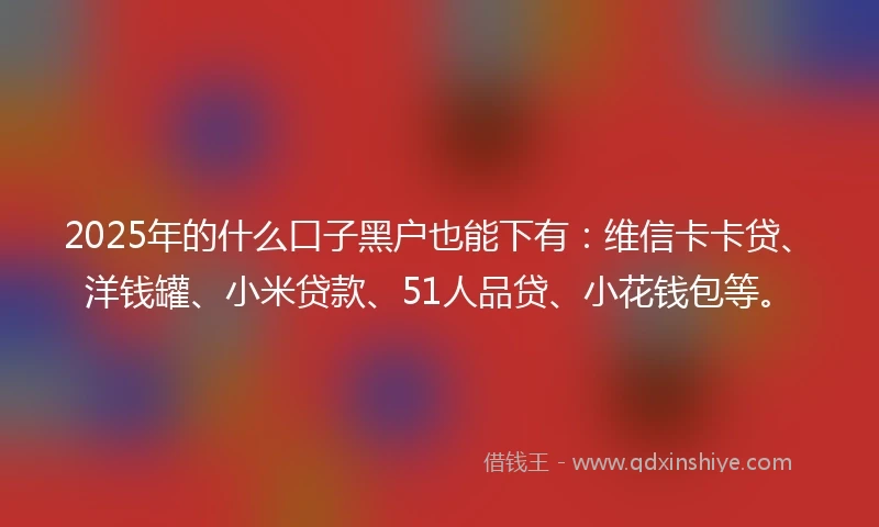 2025年的什么口子黑户也能下有：维信卡卡贷、洋钱罐、小米贷款、51人品贷、小花钱包等。